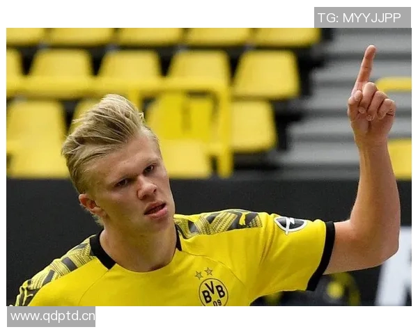 麦克尼利：破坏者角色助黄蜂扭转局势